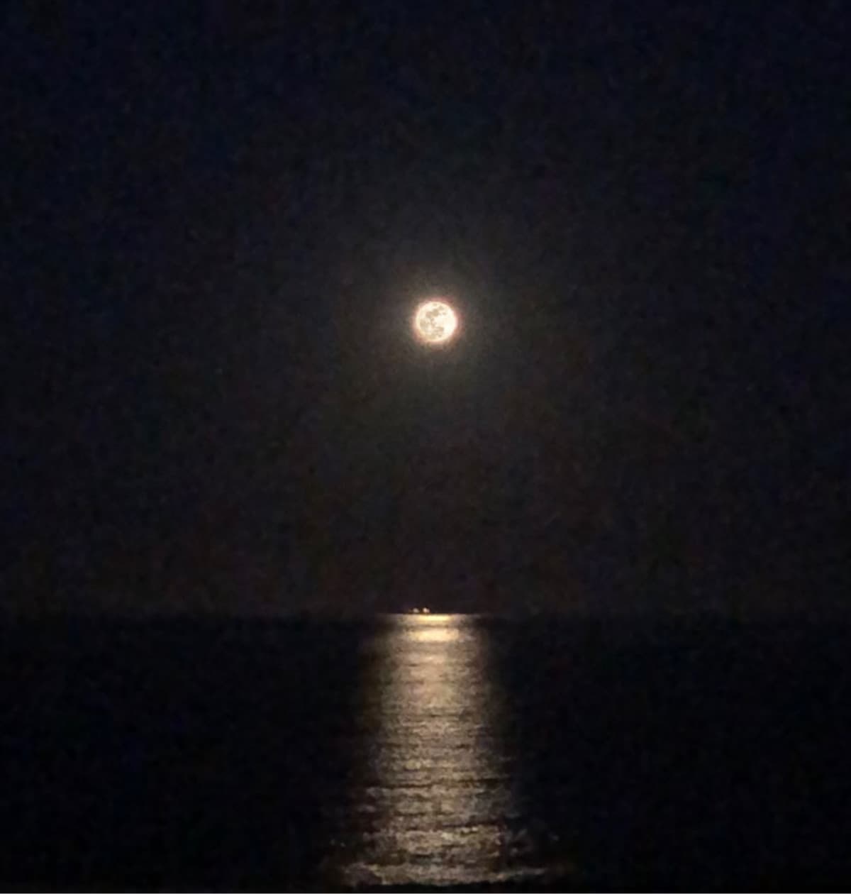 MA C’È UNA LUNA PIENA BELLISSIMA STASERA