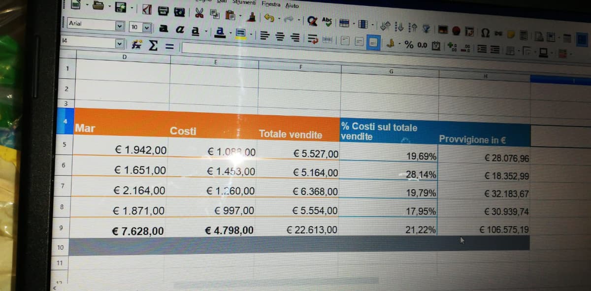 Informatica-OpenOffice Calc