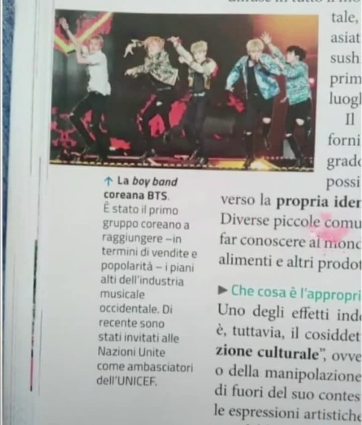 Sul nostro libro di religione, nelle pagine in cui parla di cosa significa avere un idolo ci sono i bts lol