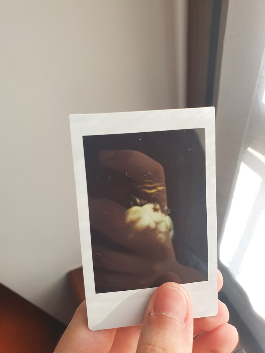 Bruhmio nonno ha appena dato un pugno ad una polaroid ed è uscito sto tizio nudo, adesso sta dicendo roba strana