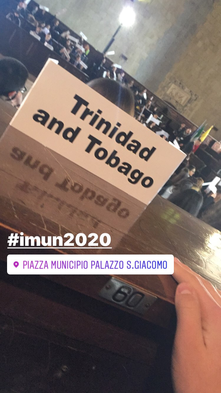 Non doc se lo conoscete ma ho appena finito il progetto IMUN a Napoli, mi sono divertito un bordello e ho conosciuto un sacco di persone nuove❤️❤️