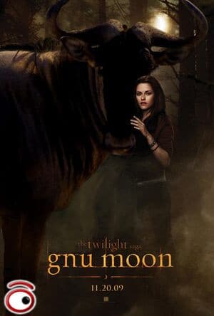 Quella che stai vedendo è l'immagine della copertina di un film scartato della saga di Twilight. puoi notare come Bella sia molto interessata al toro. a Bella non bastavano i licantropi 