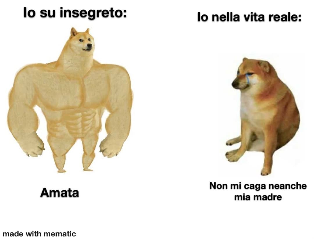 Ma che bella la vitaa(non è vero fa schifo) 