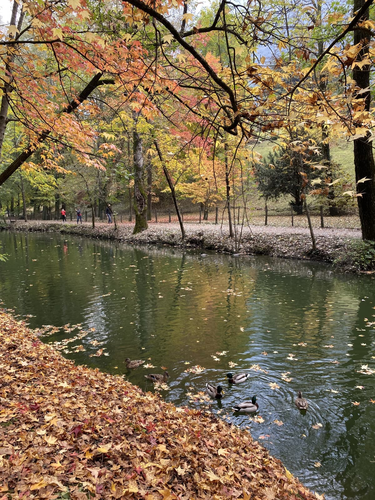 Però l’autunno è bello…