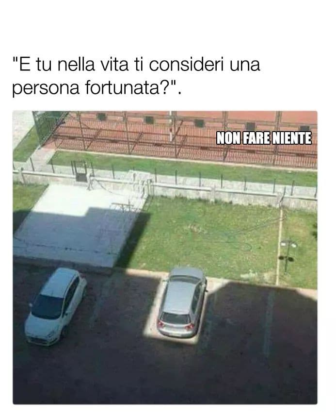 Perfetta descrizione della mia vita ??