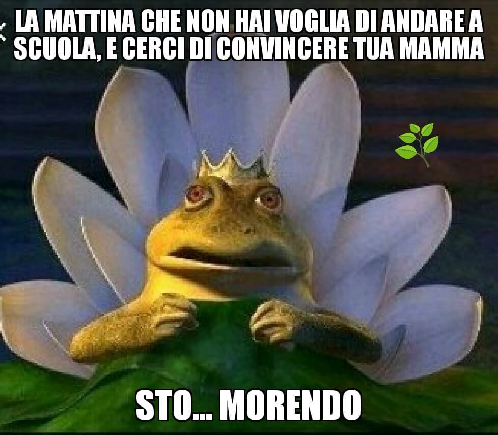 Chi si ricorda la scena in shrek???