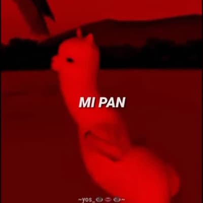 Mi pan