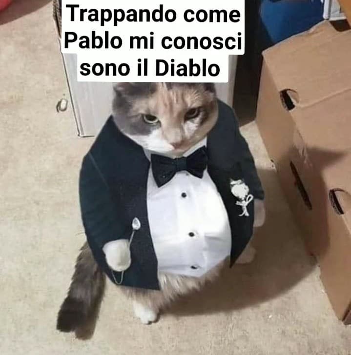 devo dire una cosa importante