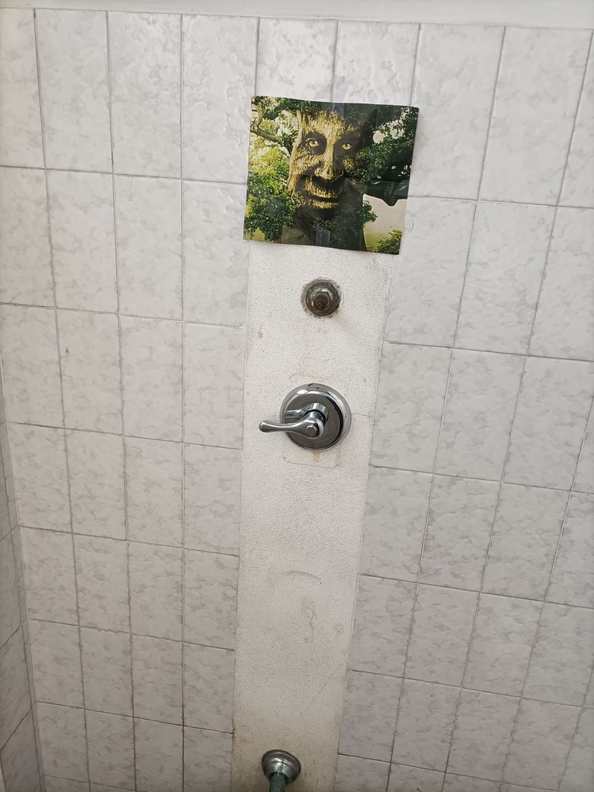 Trovato nel bagno della scuola 