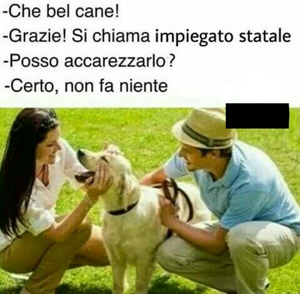 impiegato statale che caxxo fai??!?