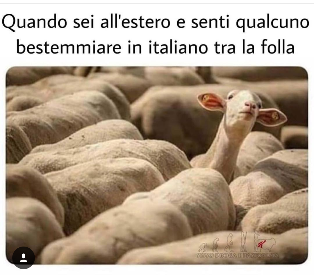 Italiano all'estero 