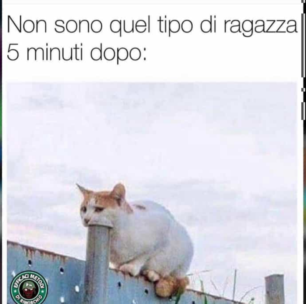 Non credo sia riferito a quello...