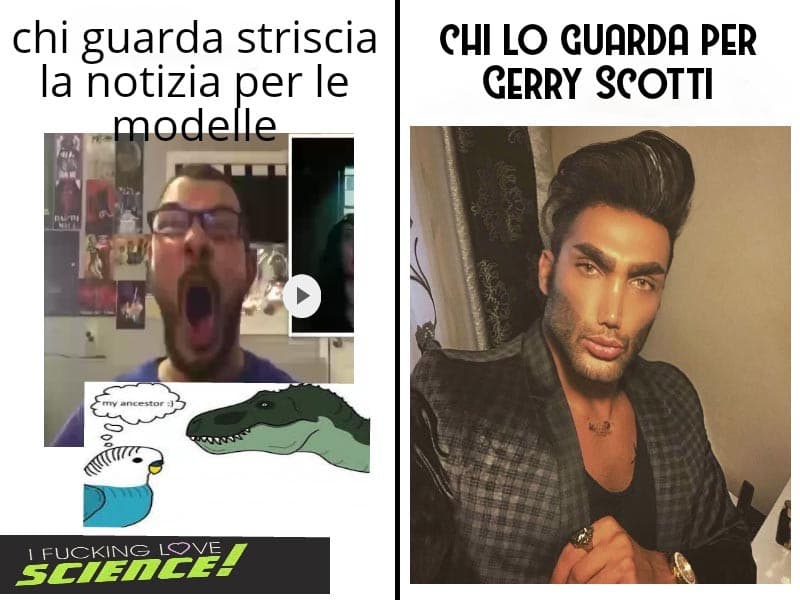 Io lo guardo per gerry scotti