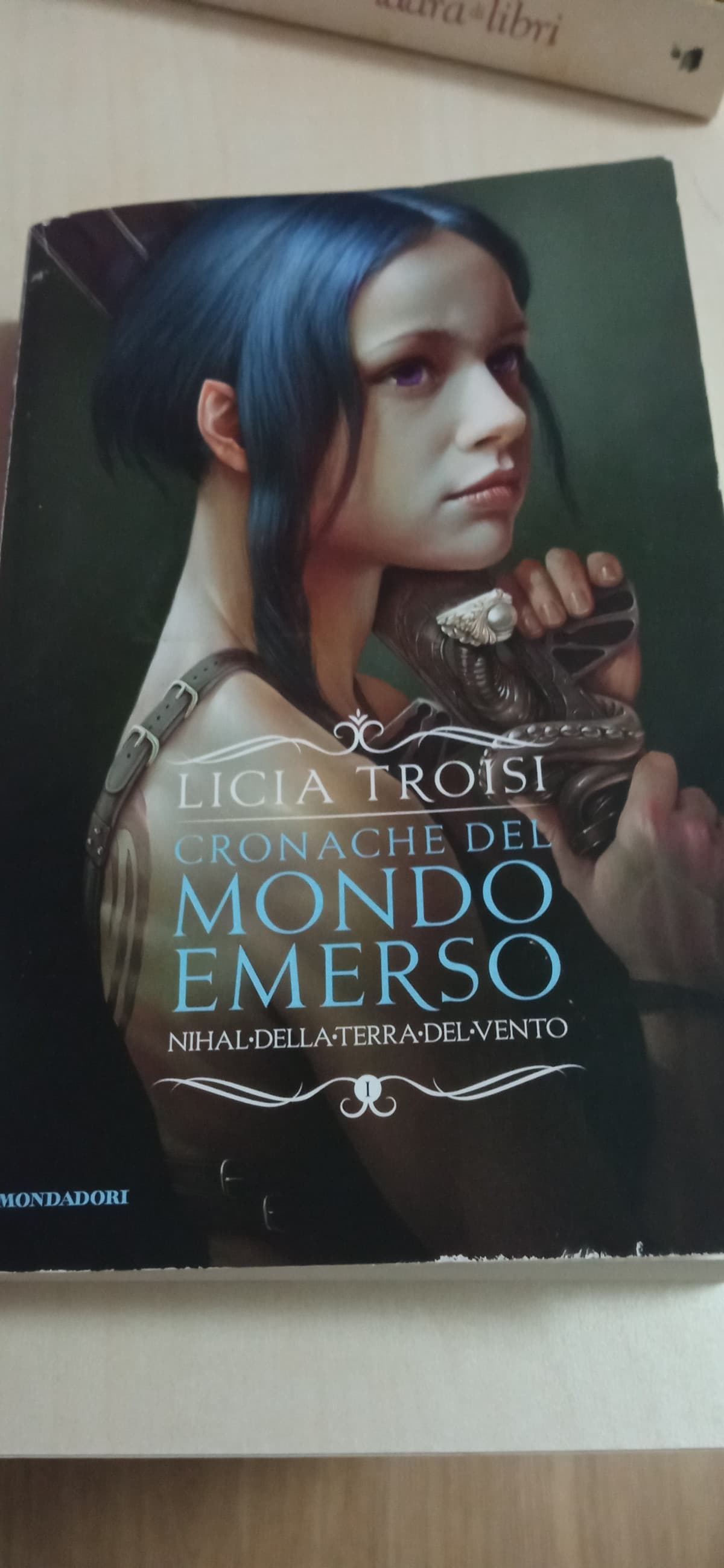 Questo libro è fantastico ✨