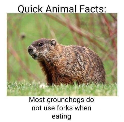 Animal facts ??