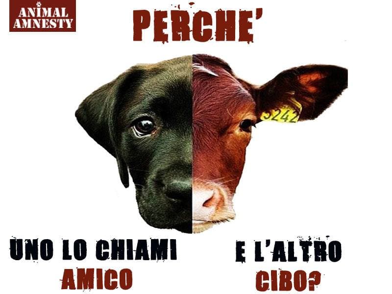 Le persone