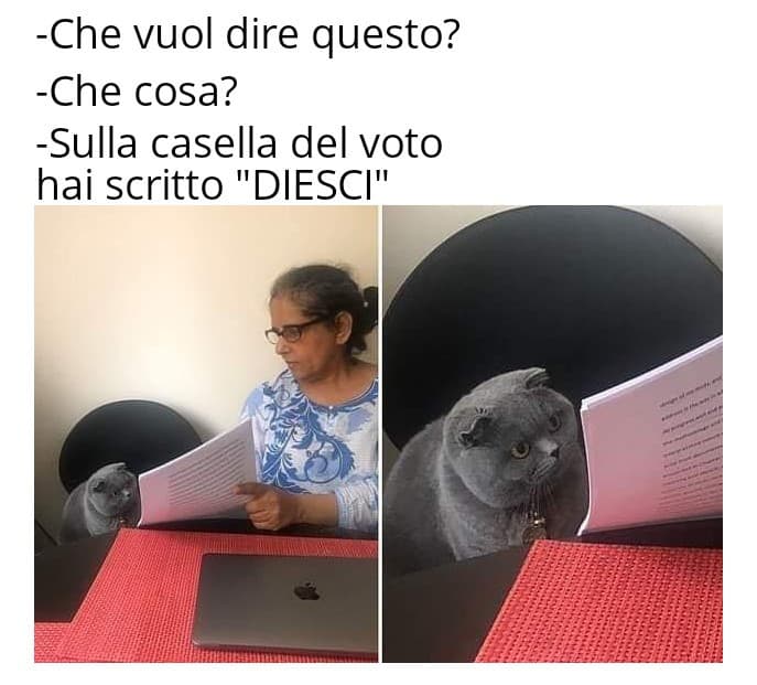 Ha dato un voto che ha ribaltato il risultato