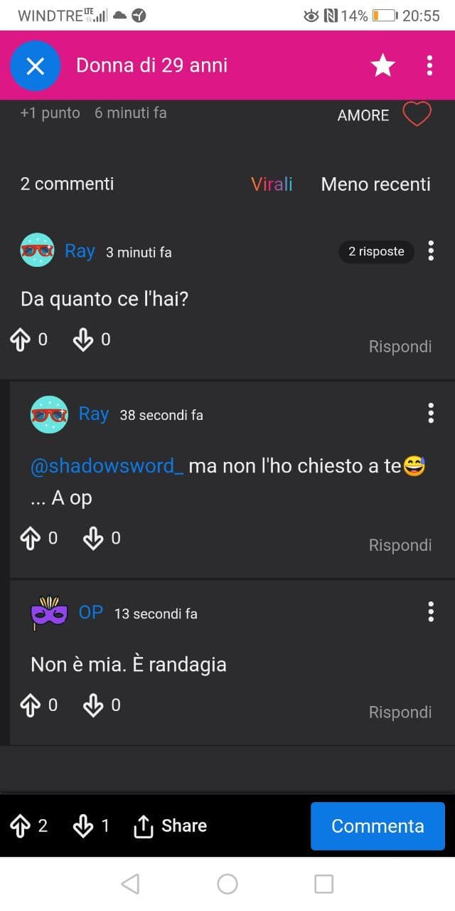 In questo shout pubblicato dal ragazzo che ha detto di essere ray si vede il duplice account di shadowsword e il commento che dunque é stato cancellato. 