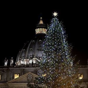 Immagina vivere 120 anni in un bosco, sopravvivere a due guerre mondiali, centinaia di inverni per poi morire abbagliato dalle luci di una chiesa