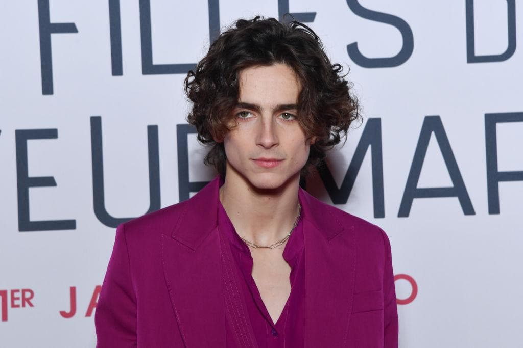 Ma scusate eh Timothée Chalamet quanto è figo