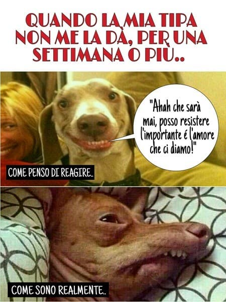 Va tutto ok..