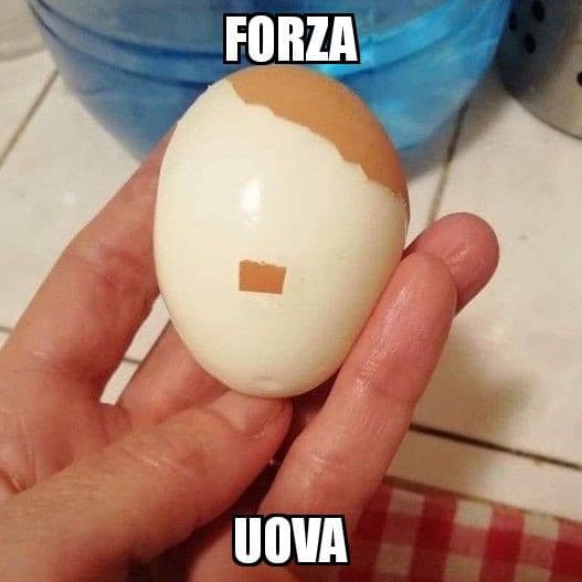 Forzauova