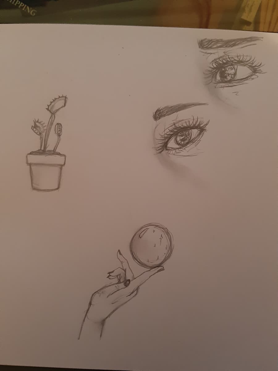 Disegno ciò che mi avete consigliato