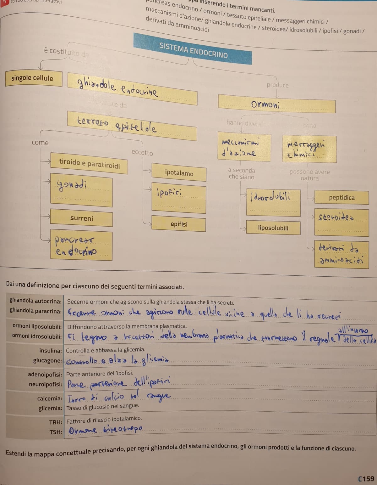 Vi passo i compiti di anatomia, solo cambiate un po' le risposte che altrimenti vede che vi ho fatto copiare