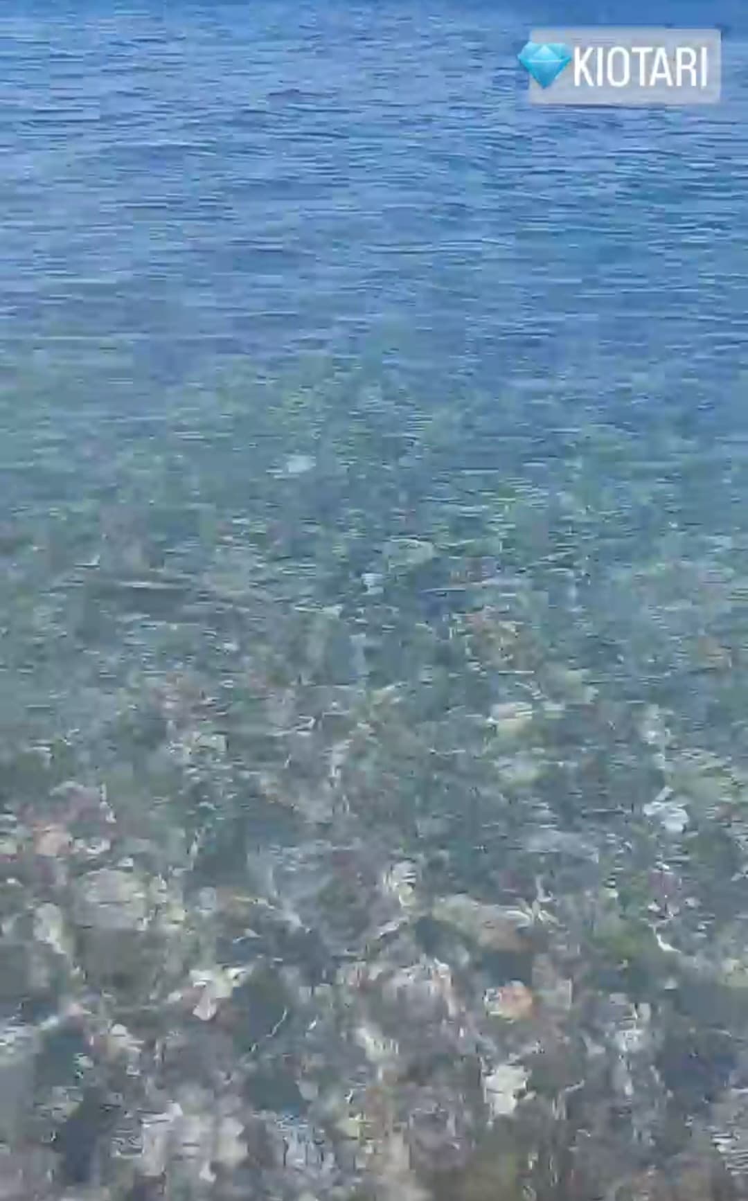 Questo è il mare. La qualità fa schifo perchè ho fatto lo screen da Instagram