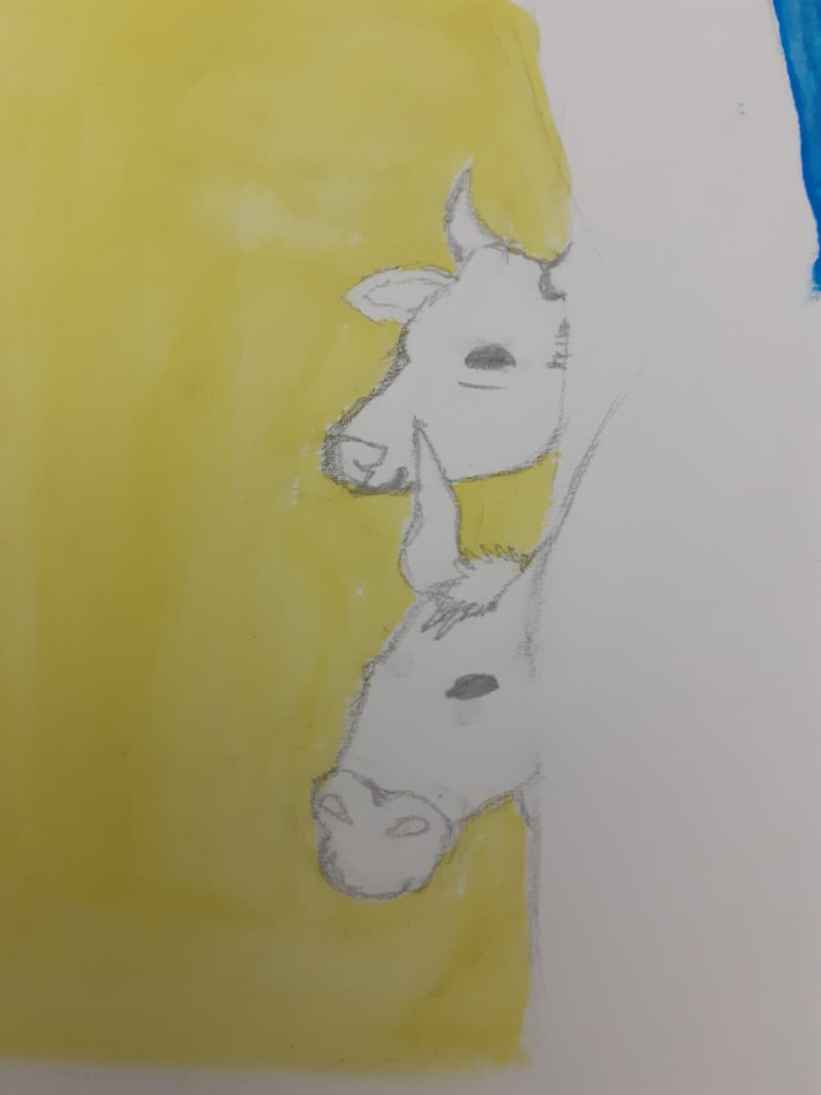 Le uniche cose decenti del disegno, top