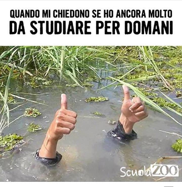 Tutto apposto 