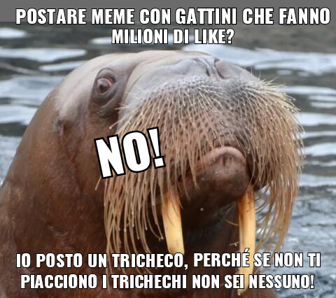 Io non seguo la massahh!!1!!1!11!!!1!!