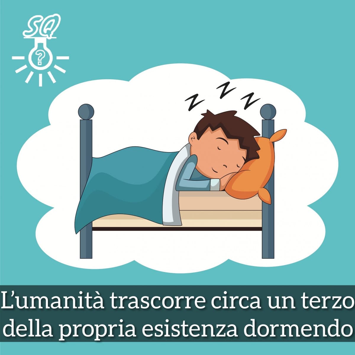 #curiosità 