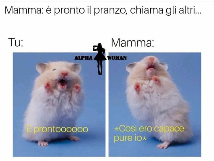 Succede sempre?