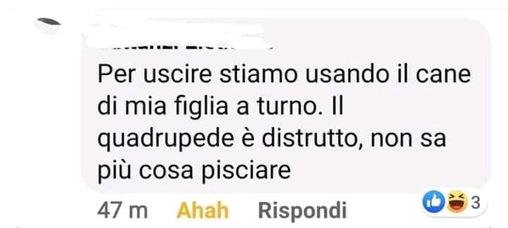 Avrà pisciato pure l'anima