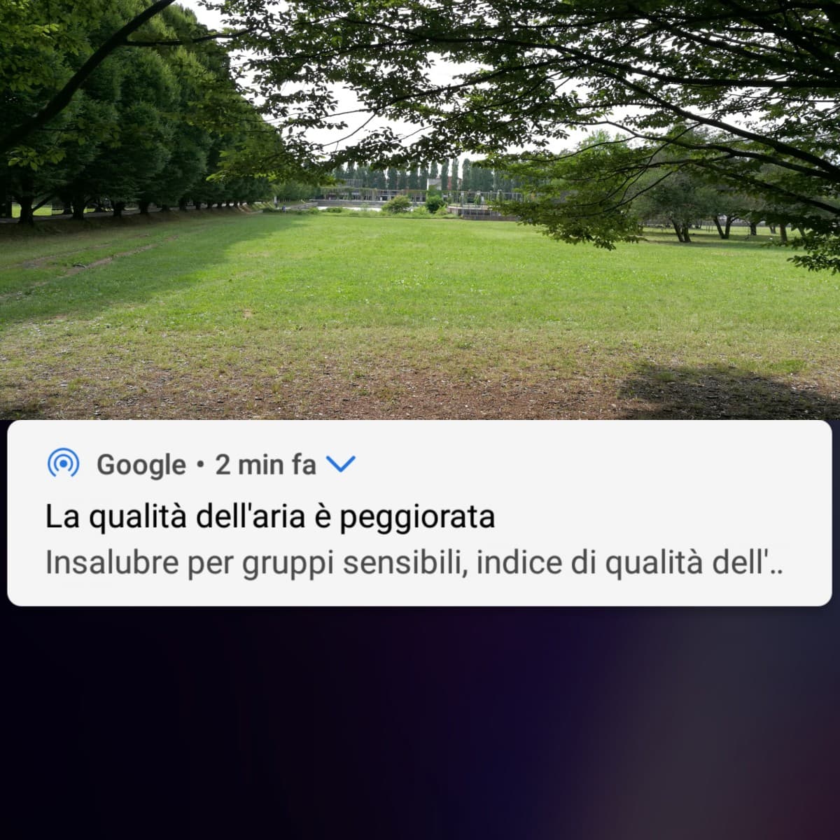 Quando te ne stai al parco all'aria fresca e pulita...