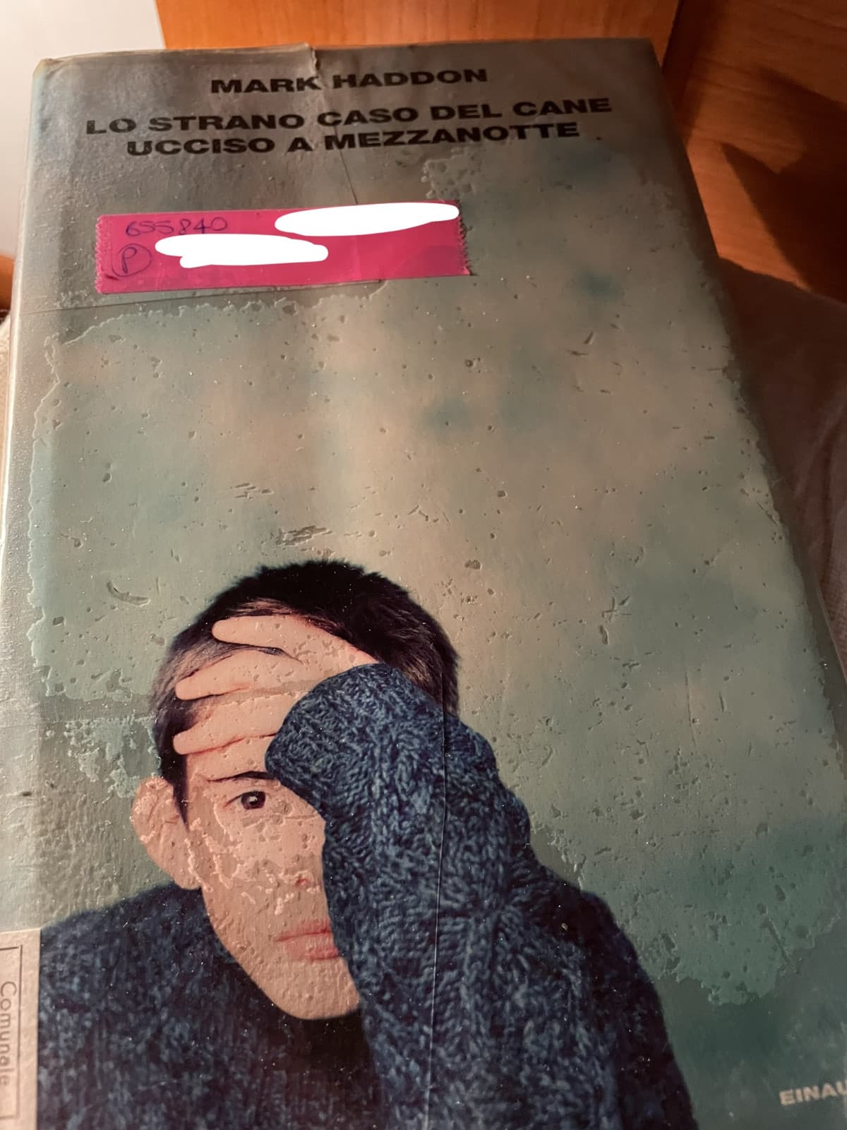 Mai letto questo libro? Opinioni?