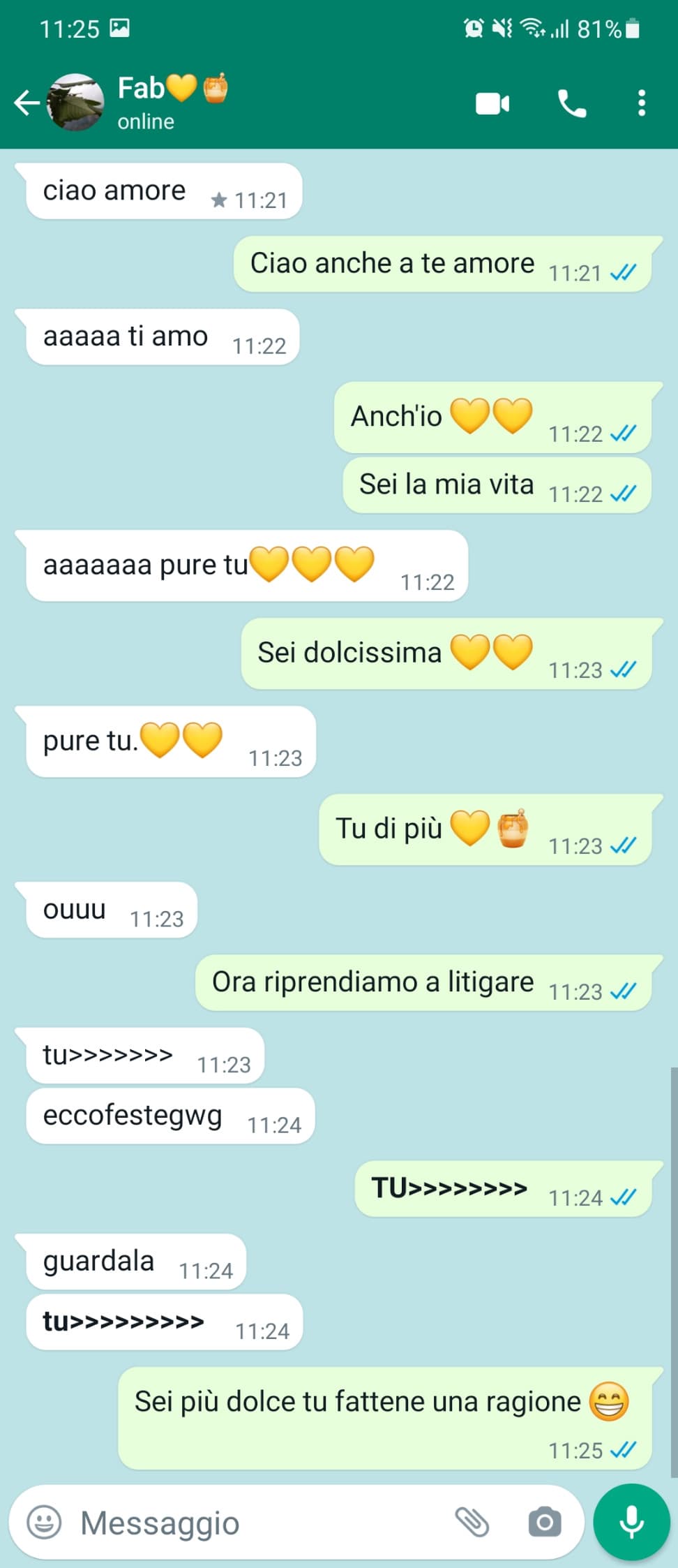 Ma è normale che le nostre chat per metta sono così 