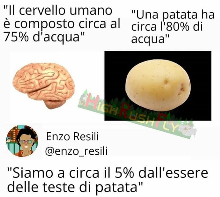 Siete proprio delle teste di patata