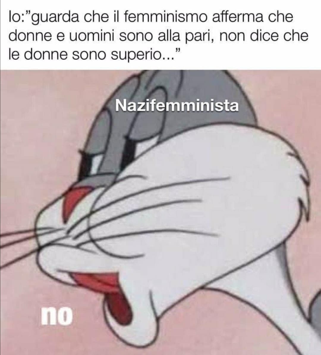 Nazifemministe 