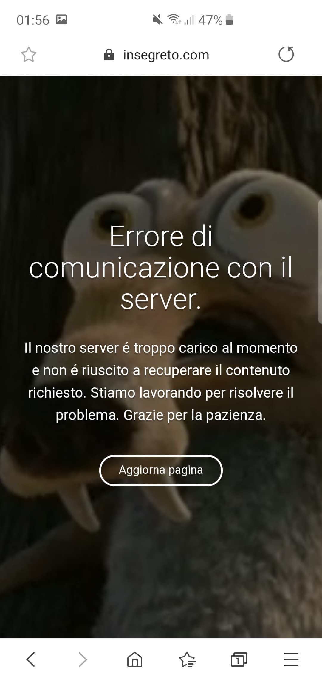 Ecco solo alcune immagini che potrete ritrovarvi quando insegreto è down 