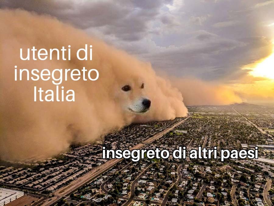 Un po' mi fanno pena, ma giusto poco eh 