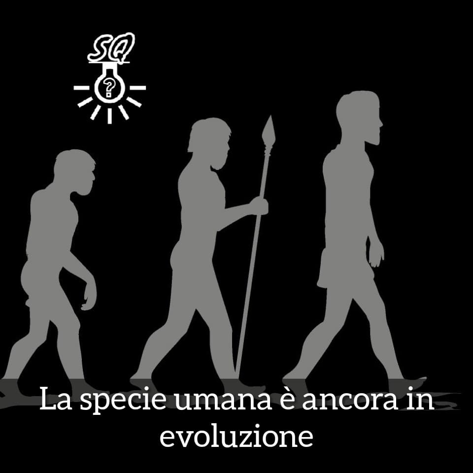 #curiosità