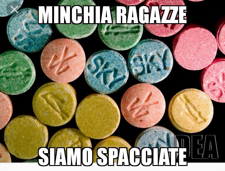 Meme miaa (spero non sia già stata fatta?)