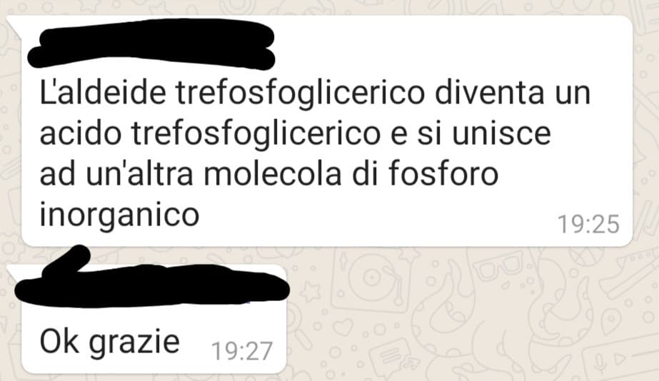 Liceo scientifico be like