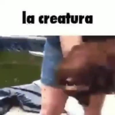 La creatura 