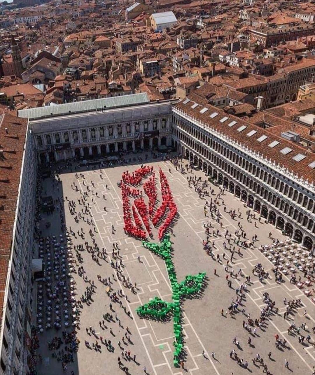 Buona festa di San Marco. In questo giorno la tradizione vuole che si regali un bocciolo di rosa alla donna amata ?