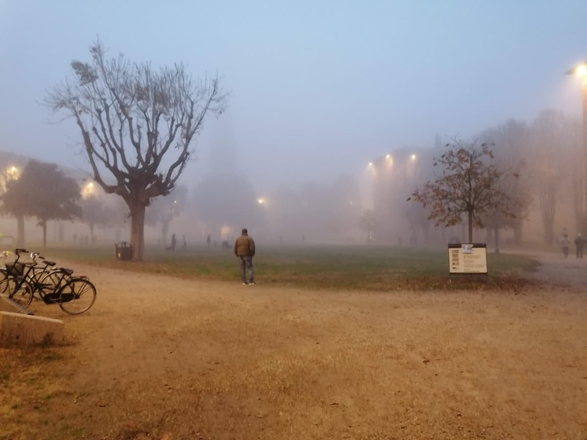 Il mio vero problema con la biondina è che non so mai come approcciarmi. Se le scrivo troppo ho paura di essere noioso. Se le scrivo troppo poco temo che ci rimanga male perché magari ci sperava. Sinceramente boh