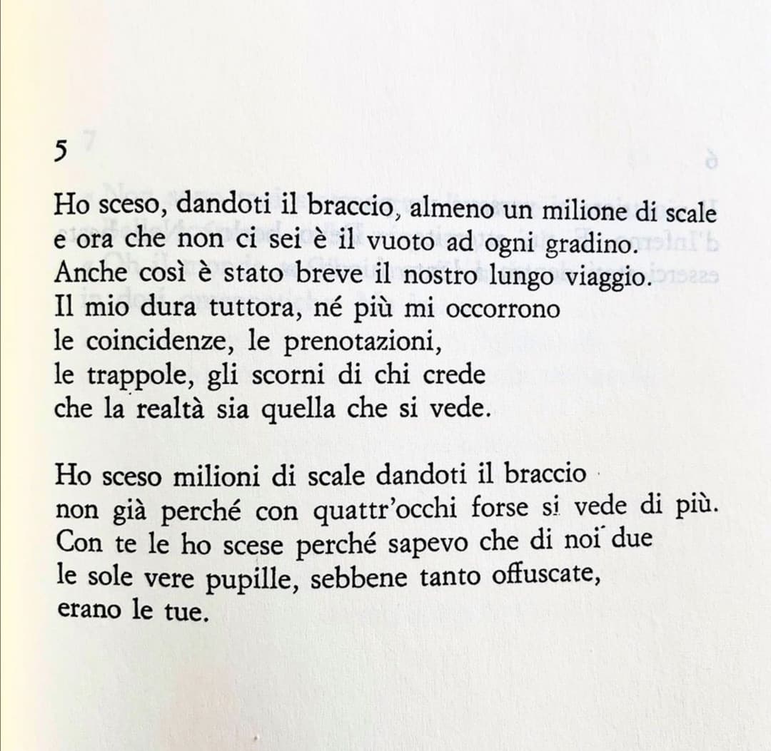 Adesso siete insieme per sempre sotto terra rip Eugenio e Drusilla