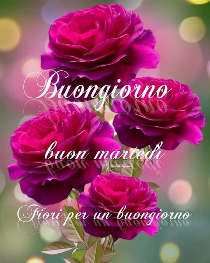 Buongiorno ragazzi 